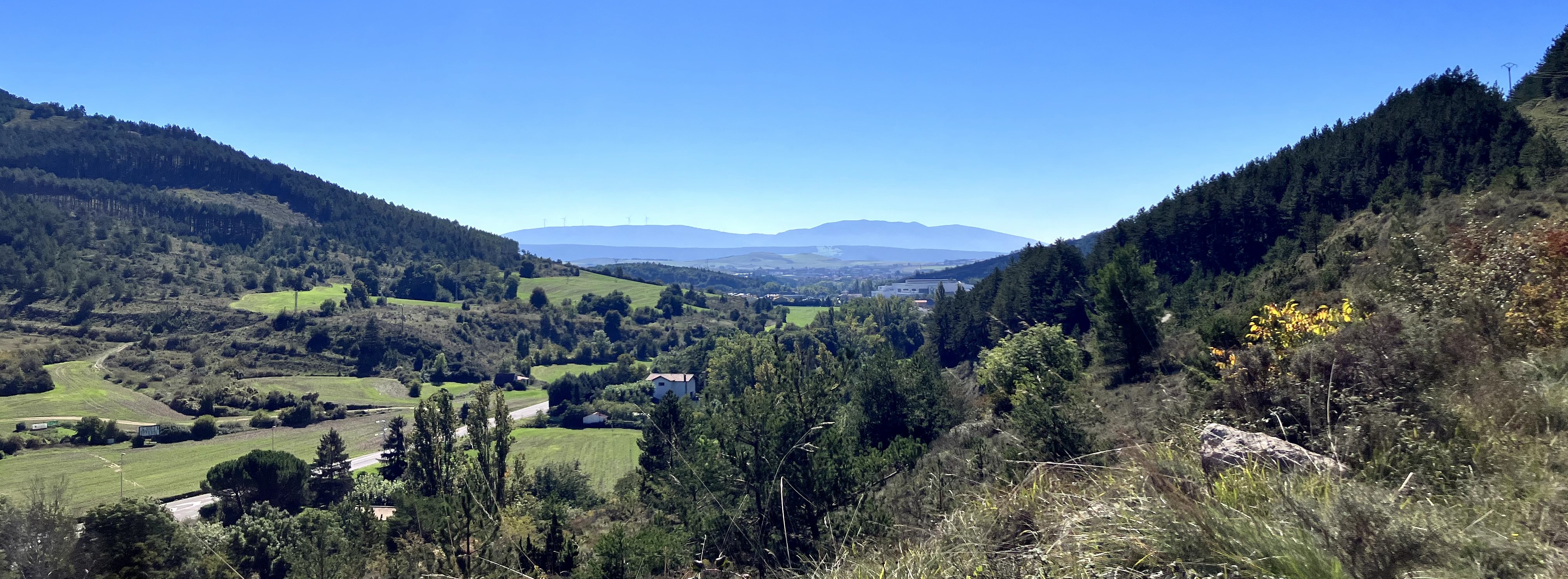 open field landscape