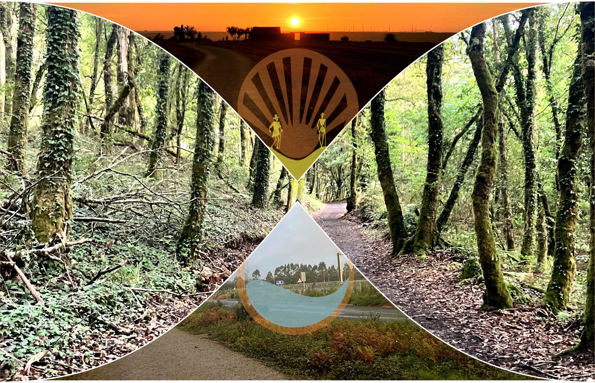 Landscape image 3